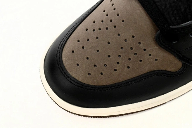 DZ5485-020 1 Jordan Air OG Palomino High 0729
